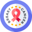 Breast Cancer Recurrence Risk Calculator