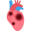 Heart Failure Life Expectancy Calculator