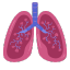 Lung Nodule Growth Rate Calculator