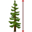 Tree Height Calculator